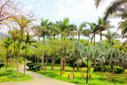 适合投资小开的醋壶加盟店