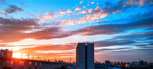 异世界li（异世界恋爱社团1-6动漫中文字幕）