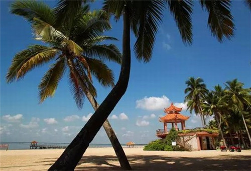 有家的人说我爱你是什么歌（有家庭的人说爱你）