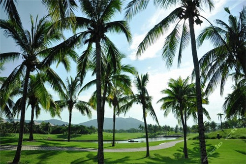 园区开发公司取名大全（园区开发公司属于什么行业）