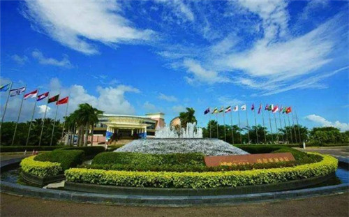 口水豆腐的做法视频教程（口水美食）