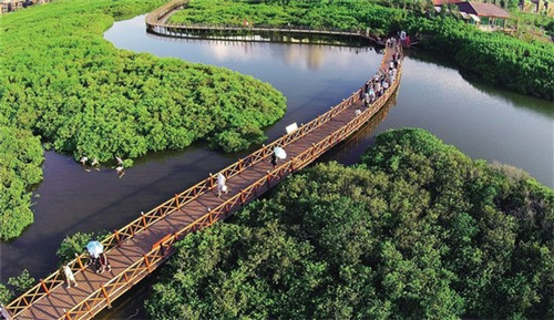 美味林暴走泡泡鸡加盟要满足哪些条件