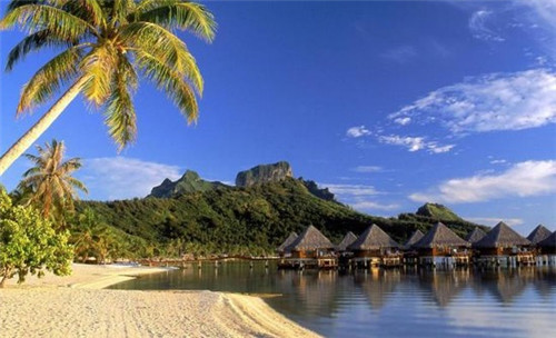 奶茶店搭配什么卖生意更好，奶茶店配什么茶叶好喝呢