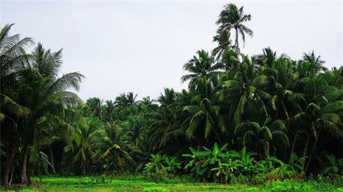 延边汤饭加盟店赚钱吗现在，延边汤饭加盟店赚钱吗