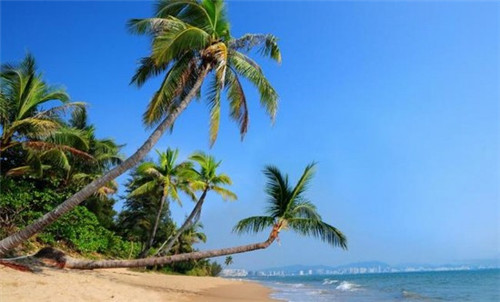 县城可以开京司鲜作吐司吗，京司鲜作吐司知名度怎么样